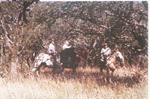 Estancia "EL OLIVO"