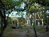 Patio Interior