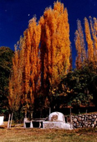 Tunuyán - Mendoza