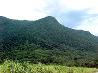 MN Cerro María Lionza