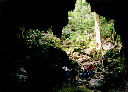 MN Cueva de Alfredo Jahn