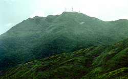 MN Cerro Platillon