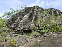 MN Piedra Pintada