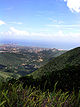 PN  Cerro El Copey- Jóvito Villalba